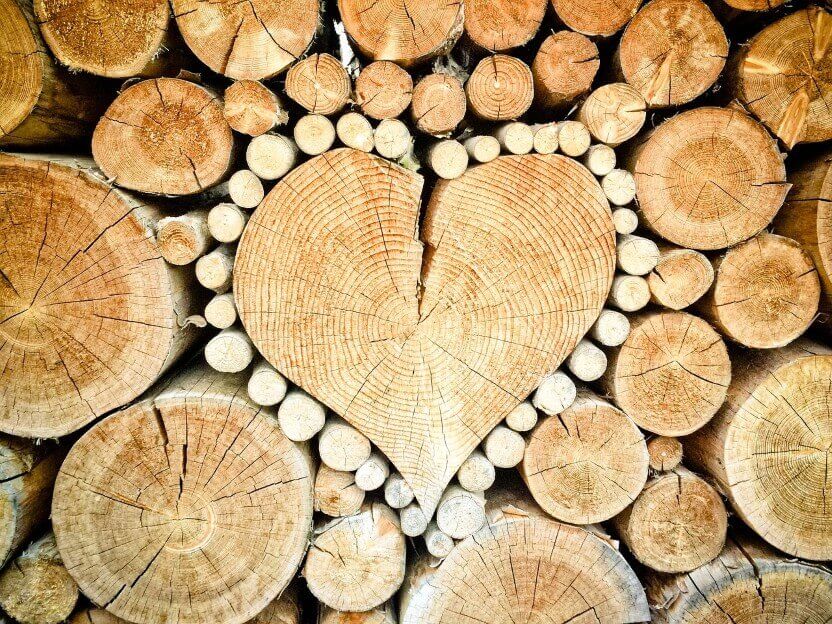 heart wood