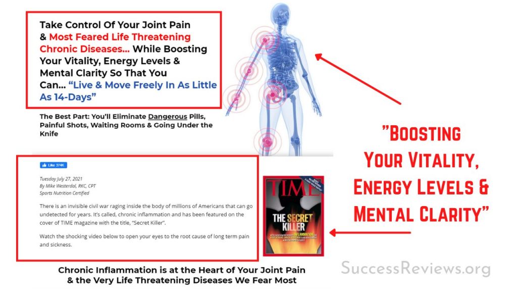 Review 101 Superfoods That Stop Your Joint Pain & Inflammation