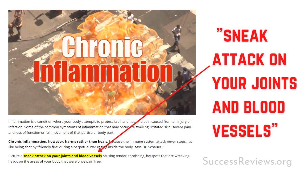 Review 101 Superfoods That Stop Your Joint Pain & Inflammation