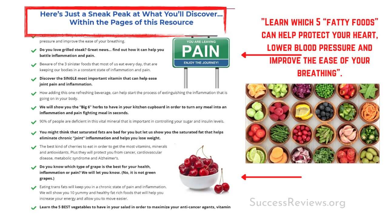 Review 101 Superfoods That Stop Your Joint Pain & Inflammation