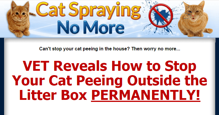 Does Cat Spraying No More Really Work? Our Review